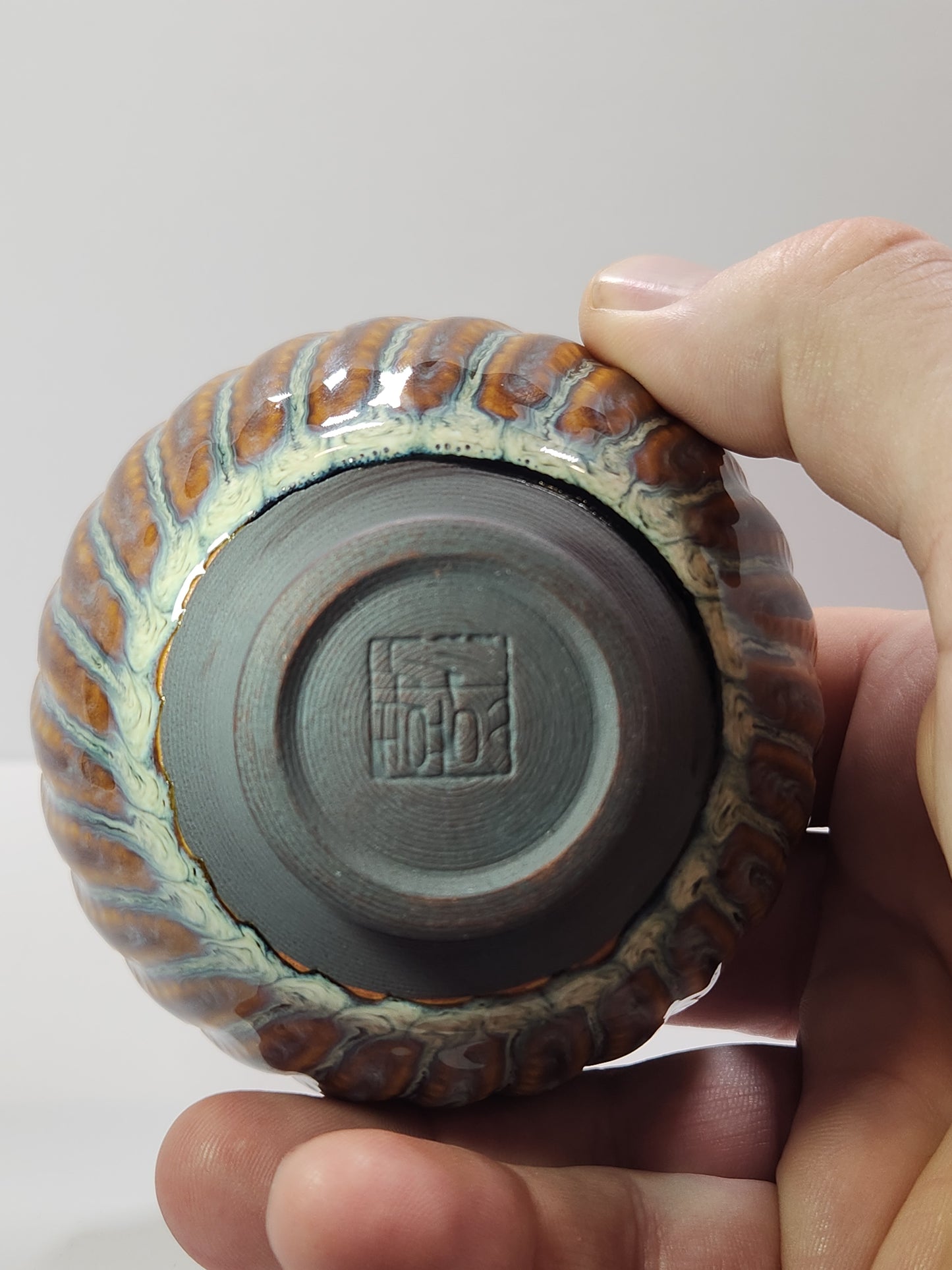 Jumping Daggar Jian Zhan Tea Cup Vibrant colors!