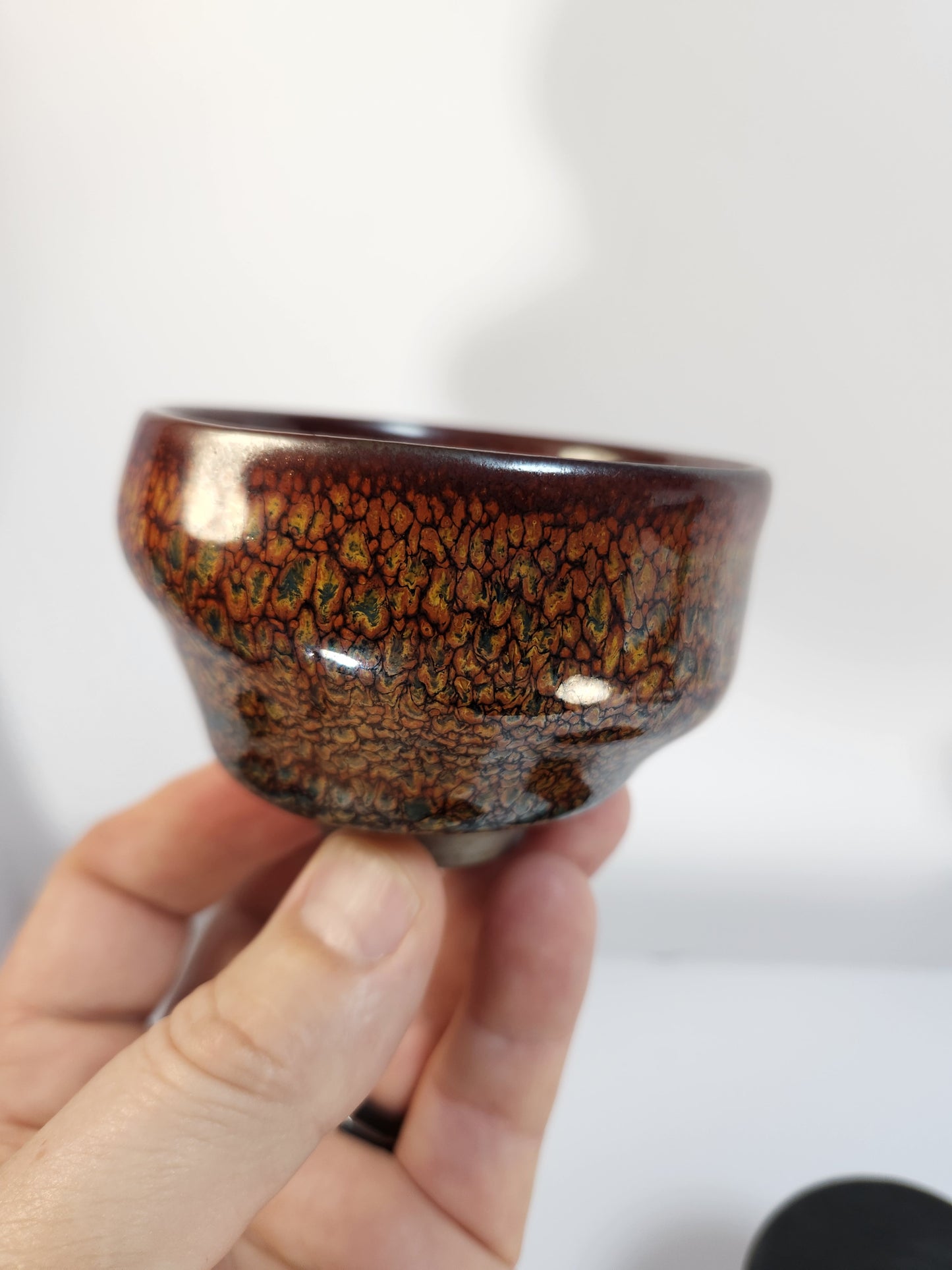 Partridge Feather "Sleeping Dragon" Jian Zhan Tea Cup